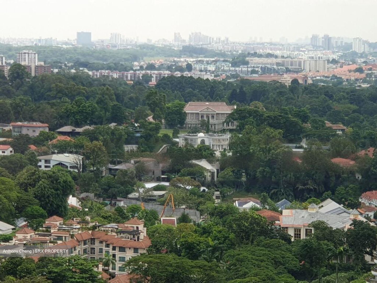 Ardmore Park (D10), Condominium #455732431